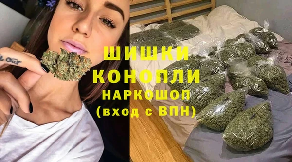 винт Арсеньев