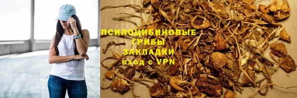 винт Арсеньев