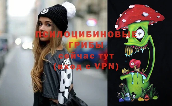 винт Арсеньев