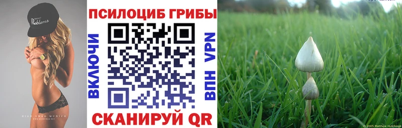 Псилоцибиновые грибы прущие грибы  Ветлуга 